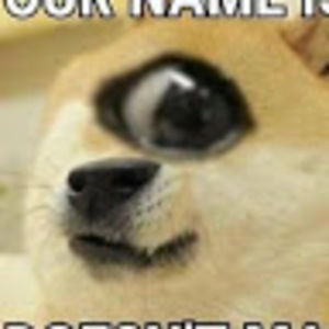 Meet your Posher, Big mia